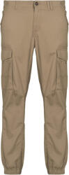 JACK & JONES Pantaloni Cargo Bărbați JPSTPAUL Jack & Jones Maro US 28 / 32