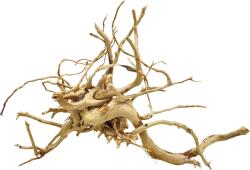 INVITAL Red moor wood KG 1325g (ID 3617)