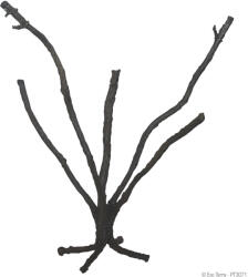 Exo Terra Jungle Tree | Hajlítható mászófa - nagy