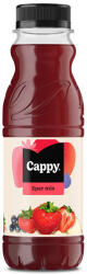 Cappy Eper Mix 34% 0.33l PET 12/# DRS