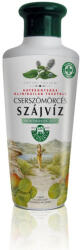 Herbária cserszömörcés szájvíz mentolos 250 ml - perfectlife