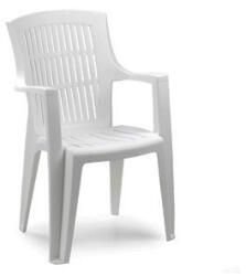 ProGarden Arpa műanyag karfás kerti szék fehér O54 (O54)