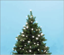  Beltéri fényfüzér, hideg fehér, 50 LED (SM 10)