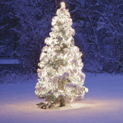  Kültéri toldható fényfüzér, hideg fehér, 50 LED, 5 m (KDK 003)