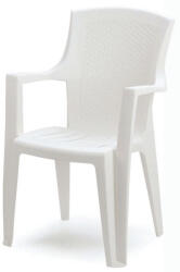 ProGarden Eden rattan hatású karfás műanyag kerti szék fehér O236 (O236)