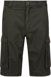 REGATTA Férfi Shorebay Vintage Cargo rövidnadrág zöld