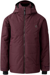 DARE 2B Gyermekek/Kids Explore sí kabát lila