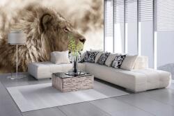 DIMEX ART Самозалепваща се флизелинова фототапета портрет на лъв 375 x 250 см