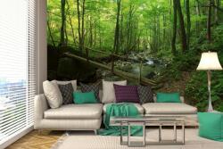 DIMEX ART Самозалепваща се флизелинова фототапета горски поток 375 x 250 см