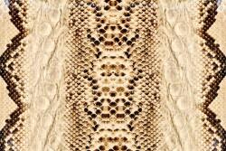 DIMEX ART Флизелинов фототапет змийска кожа 375 x 250 см