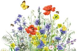 DIMEX ART Флизелинов фототапет картина - диви цветя 375 x 250 см
