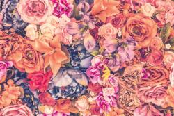 DIMEX ART Флизелинов фототапет цветен фон 375 x 250 см