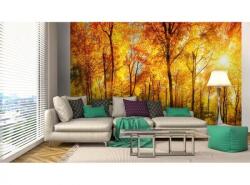 DIMEX ART Самозалепваща се флизелинова фототапета слънчева гора 375 x 250 см
