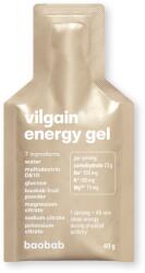 Vilgain Energy gel -⁠ sursă de energie rapidă și electroliți, combinație de 3 carbohidrați BIO cu absorbție rapidă, pentru activități de lungă durată și intensitate redusă - vilgain - 9,34 RON