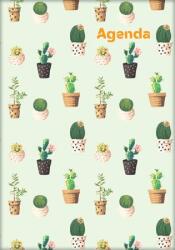 Dayliner Naptár, tervező, A5, heti, DAYLINER, "Colors", Cactus (NCA5HCAU) - irodasziget