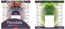TopTimer mágneses, kétheti tervezőnaptár, 22x22cm, 2026, mandala (CRW-NKT09005U) - officetrade