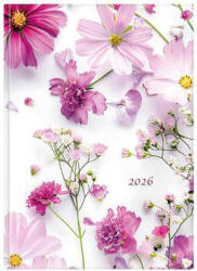 TopTimer határidőnapló, B/5, heti tervező, 2026, Joy, pillangóvirág (CRW-NKJ011PVU) - officetrade