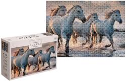 Interdruk - Puzzle Cai sălbatici - 1 000 piese Puzzle