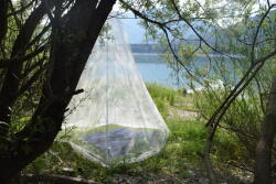 Brettschneider Expedition Cort de insecte cu impregnare pe bază de plante Pyramide 2