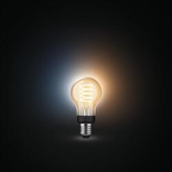 Philips Смарт LED димируема vintage крушка Philips Hue Filament Globe, E27, 7W, 550 lm (BT, Zigbee, HomeKit, Google, Alexa, SmartThings) (12NC929002477501)