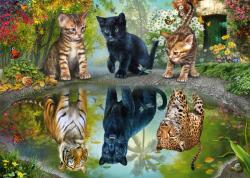 Schmidt Spiele - Puzzle Dream Big! - 1 000 piese