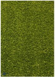 Covor verde modern 11000 Selectează mărime: 120 X 170 Covor