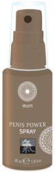 Shiatsu Erekciót segítő spray, Shiatsu, Penis Power Spray, 30 ml, natúr, japán menta és bambusz kivonattal, gyors felszívódású, frissítő, férfiaknak