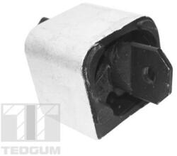 TEDGUM Uloženie, motor TEDGUM TED99764 (TED99764)