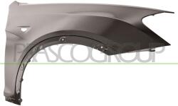 PRASCO Aripa PRASCO BM8043013 (BM8043013) - automobilus
