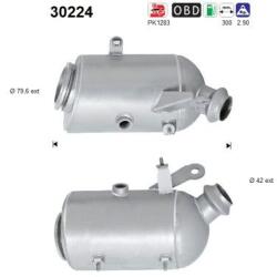 AS-PL Catalizator AS-PL 30224 (30224)
