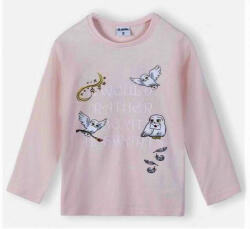 E plus M Harry Potter gyerek hosszú ujjú póló 104 cm NET85EMM5202304A104 (NET85EMM5202304A104)