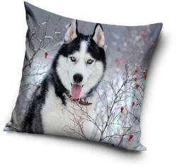 Carbotex Kutyás párnahuzat 40*40 cm CBX181011PDA (CBX181011PDA)