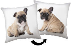 Jerry Fabrics Kutyás Bulldog párna, díszpárna 40x40 cm JFK039182 (JFK039182)