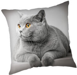 Jerry Fabrics Cicás Grey párnahuzat 45x45 cm JFK024058 (JFK024058)