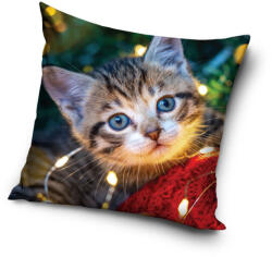 Carbotex Cicás Cozy Lights párnahuzat 40x40 cm Velúr CBX241138PNL (CBX241138PNL)