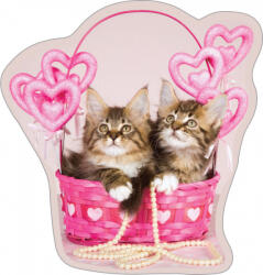 Carbotex Cicás formapárna, díszpárna 35*40 cm CBX544741 (CBX544741)