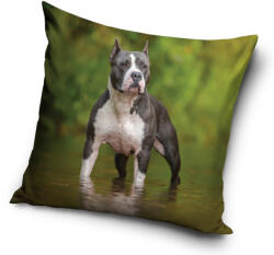 Carbotex Kutyás párnahuzat 40*40 cm CBX195004PD (CBX195004PD)