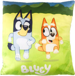 Setino Bluey Run párna, díszpárna 40x40 cm NETSTN2109 (NETSTN2109)