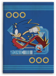 Aymax Sonic a sündisznó polár takaró 100x140cm AYM071672 (AYM071672)