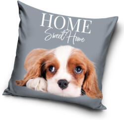 Carbotex Kutyás párnahuzat 40*40 cm CBX214053PNL (CBX214053PNL)