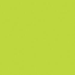 POL-MAK Kivi zöld Maki szalvéta 20 db-os 33x33 cm PKK010871 (PKK010871)