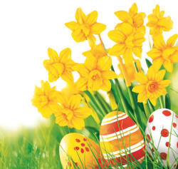 POL-MAK Húsvét Bunch of Daffodils szalvéta 20 db-os 33x33 cm PKK056459 (PKK056459)