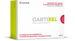 Goodwill Pharma Cartixel® 60x