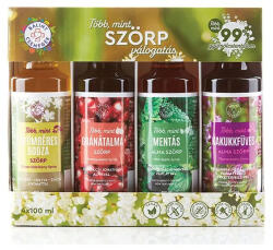 Herbarium Bálint Több mint Szörp válogatás BODZÁS 4x100 ml