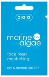  ZIAJA Tengeri alga arcmaszk 7ml