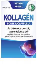 Dr. Chen Patika arthro herbal kollagén forte porc ivóampulla 9x30ml - patika-akcio