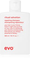 evo Repair Ritual Salvation erősítő sampon a sérült és festett hajra 300 ml
