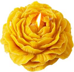 Flippy Illatos gyertya, Flippy, Rózsa mintás, Égési idő 10 óra, 70 g, 7, 5 x 3, 5 cm, Citrus illat, Narancs (134148)