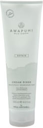 Paul Mitchell Awapuhi Wild Ginger Repair Cream Rinse 250 ml