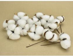 Corolla Exp-Imp. Kft Eredeti gyapotvirág 12db/csomag (7678)